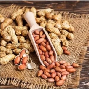 Roasted Groundnut Seeds